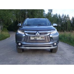 Защита передняя нижняя (овальная) 75х42 мм