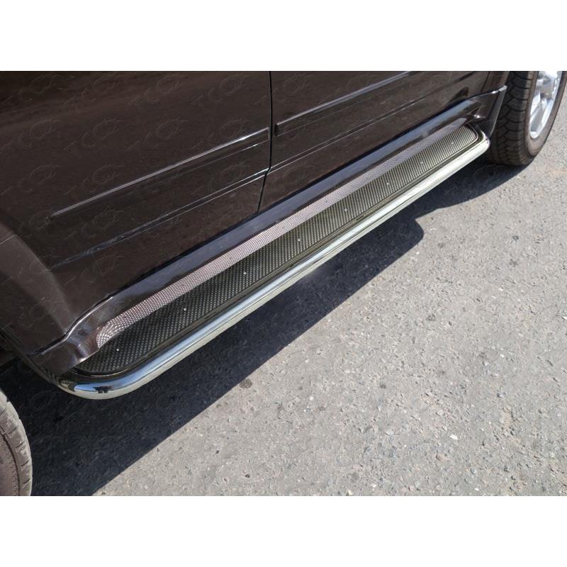 Пороги с площадкой (нерж. лист) 42