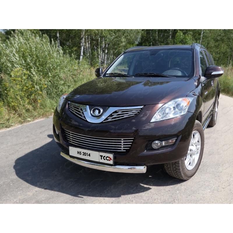 Защита передняя нижняя (овальная короткая) 75х42 мм для GREAT WALL Wall H5